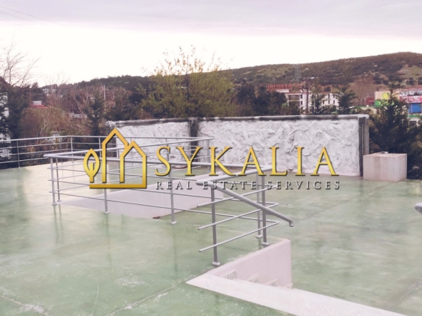 sykalia-e10.10