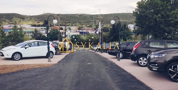 sykalia-e10.9