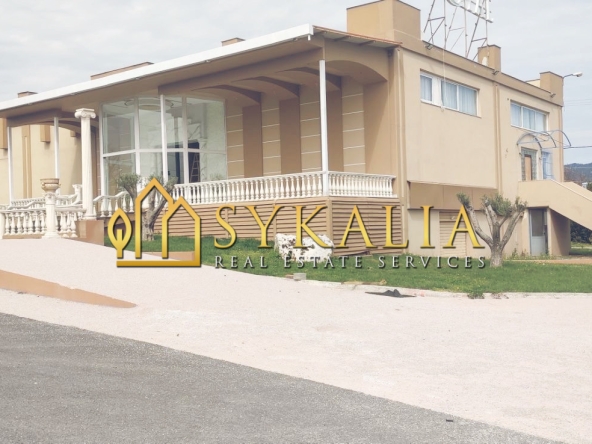 sykalia-e10.1
