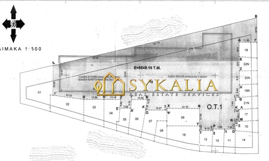 sykalia-p14.1